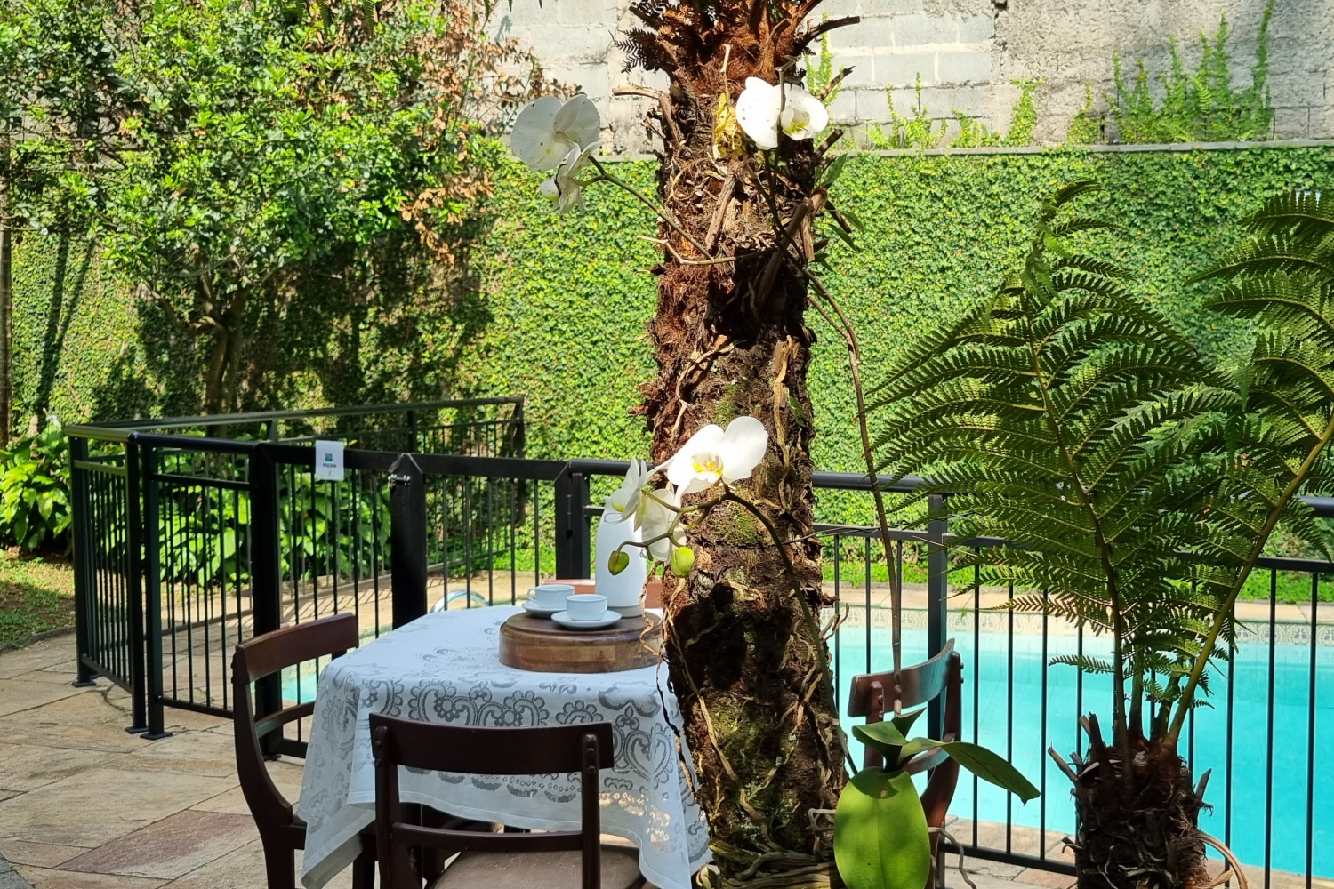 Jardim e piscina